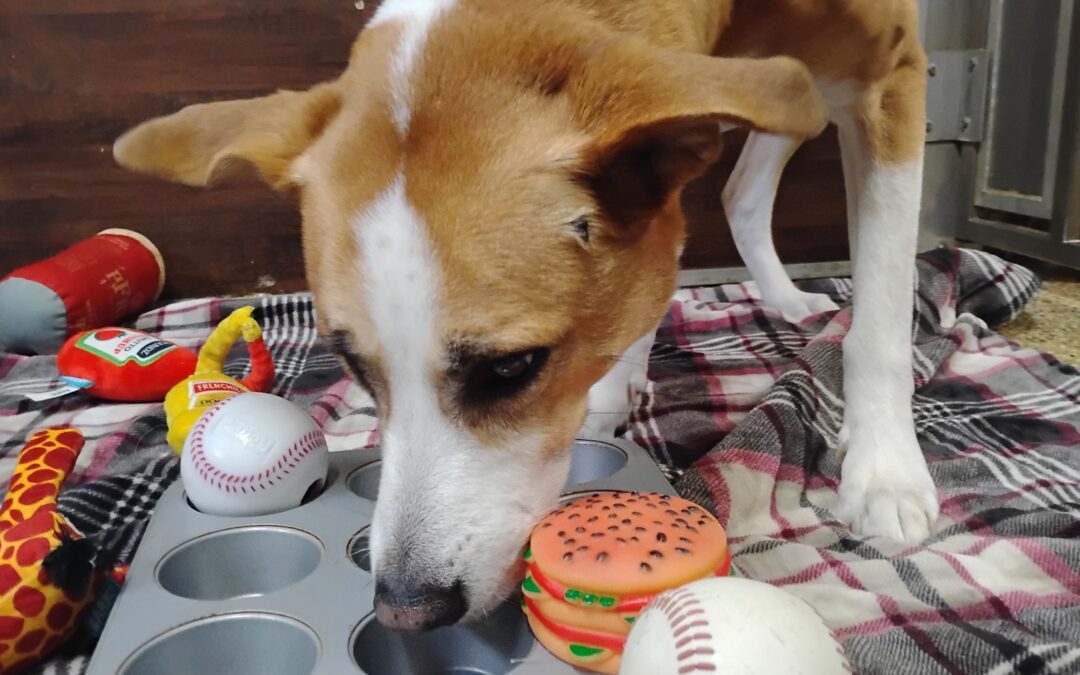 Jolly Eggs, Muffin Tin Treats, & Spin Circles Activities :) 12.21.25
