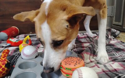 Jolly Eggs, Muffin Tin Treats, & Spin Circles Activities :) 12.21.25