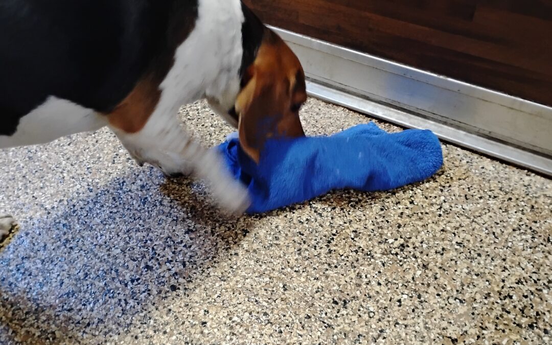 12/22/25 Towel Dig, Christmas Scent Space, Bubbles and Balls! :)