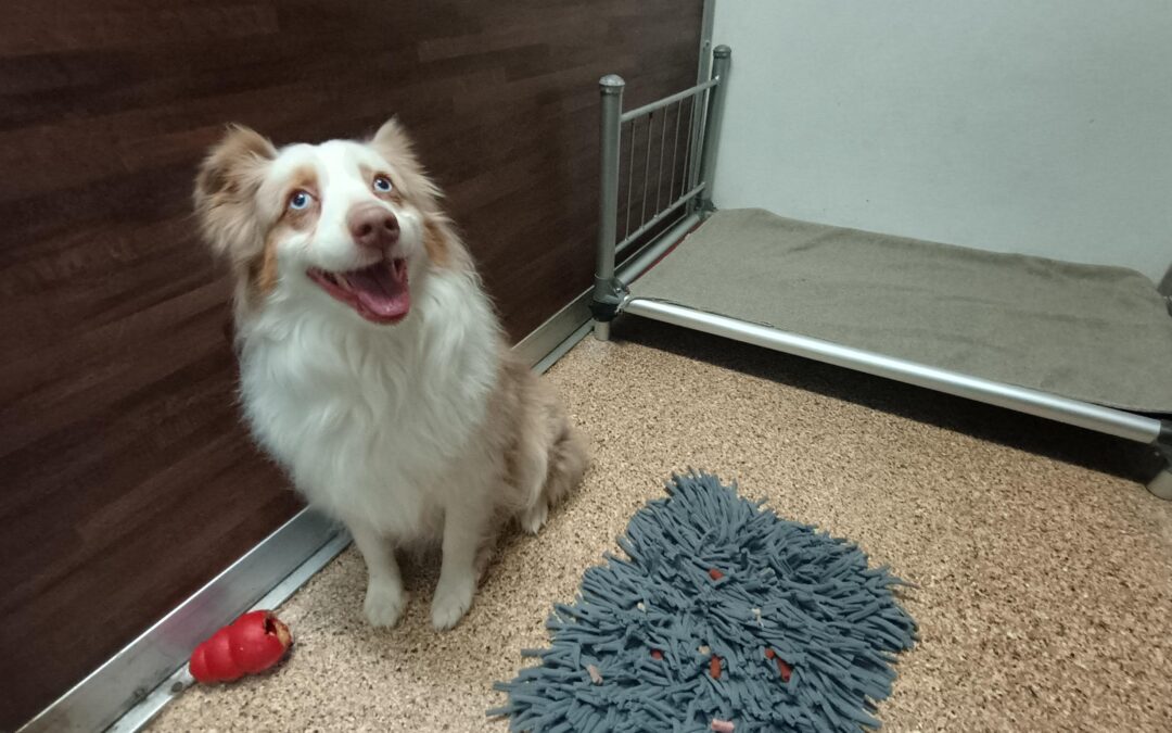 12-25-25 Christmas Activities! :)