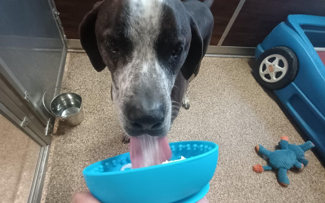 12/26/25 Tennis, Lickibowl, Go to Place