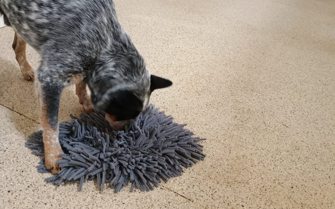 Chuck it, Towel Roll-up, and Muffin Tin Game Activities 12.28.25