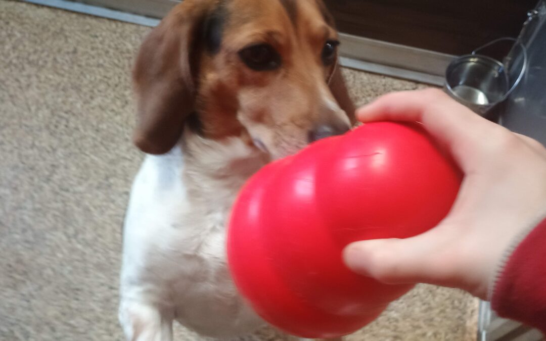 Playtime Pictures :) 12.30.25