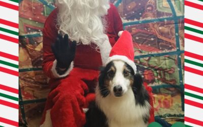 Santa Paws 2025