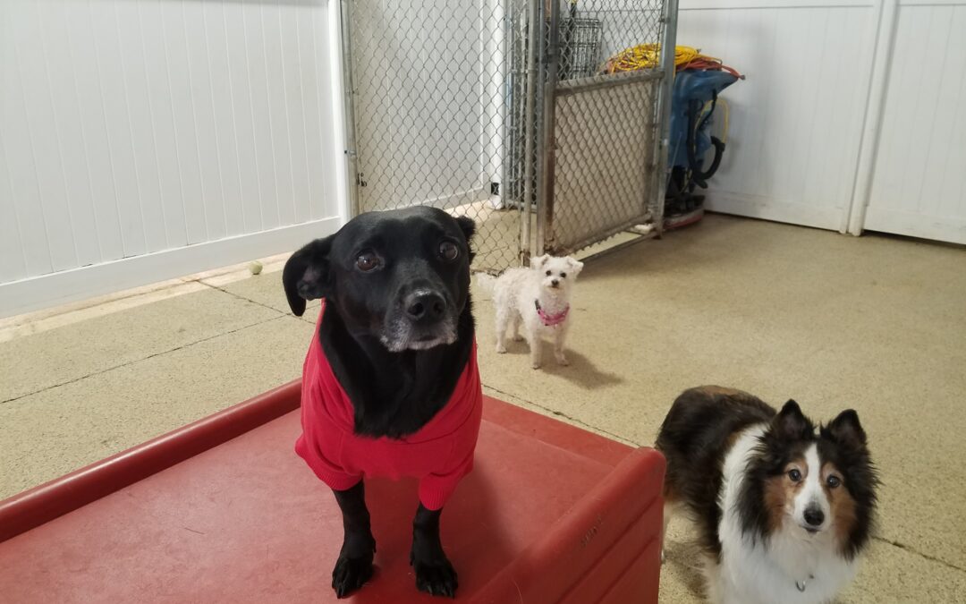 Playtime Pictures! 01.07.26