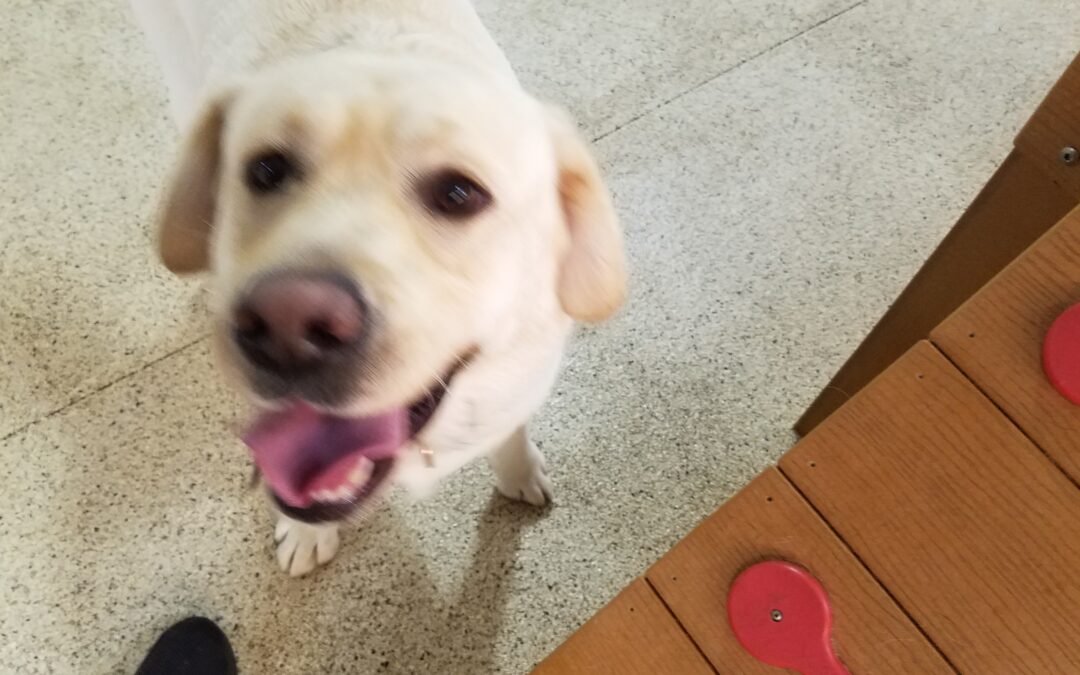 1/9/2026 Playtime! :)