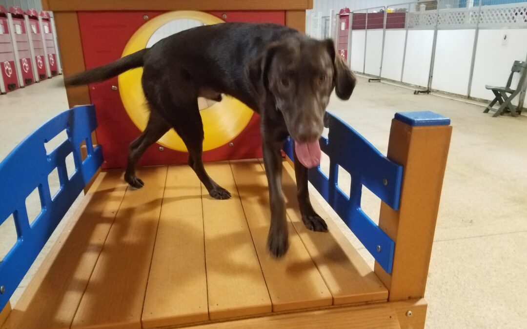 1_10_26 Playtime :-)