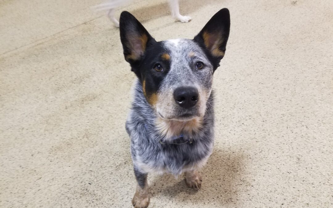 Playtime January 12, 2026