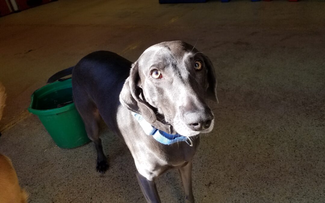 1/13/26 Playtime! :)