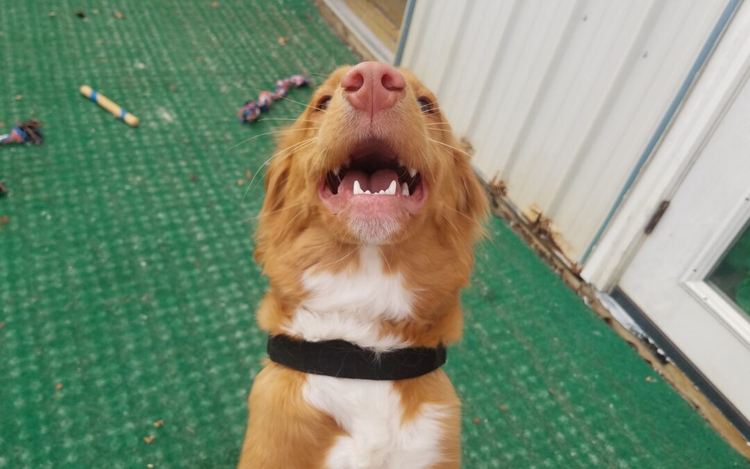 Playtime Pictures! :) 01.14.26