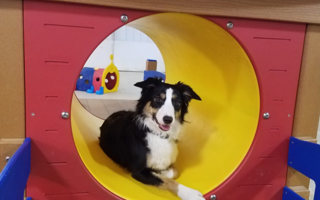 Playtime Pictures! :) 01.15.26