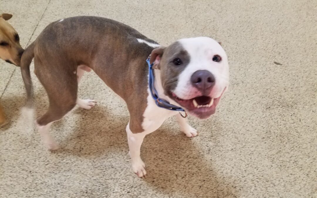 1/16/26 Playtime! :)