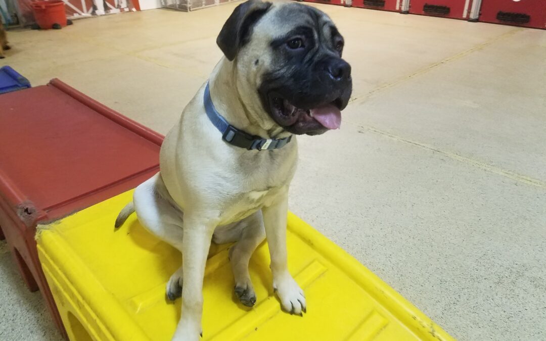 1/17/26 Playtime! :)