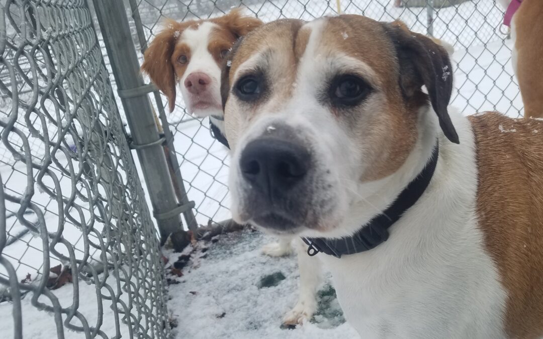 Playtime Pictures :) 01.18.26