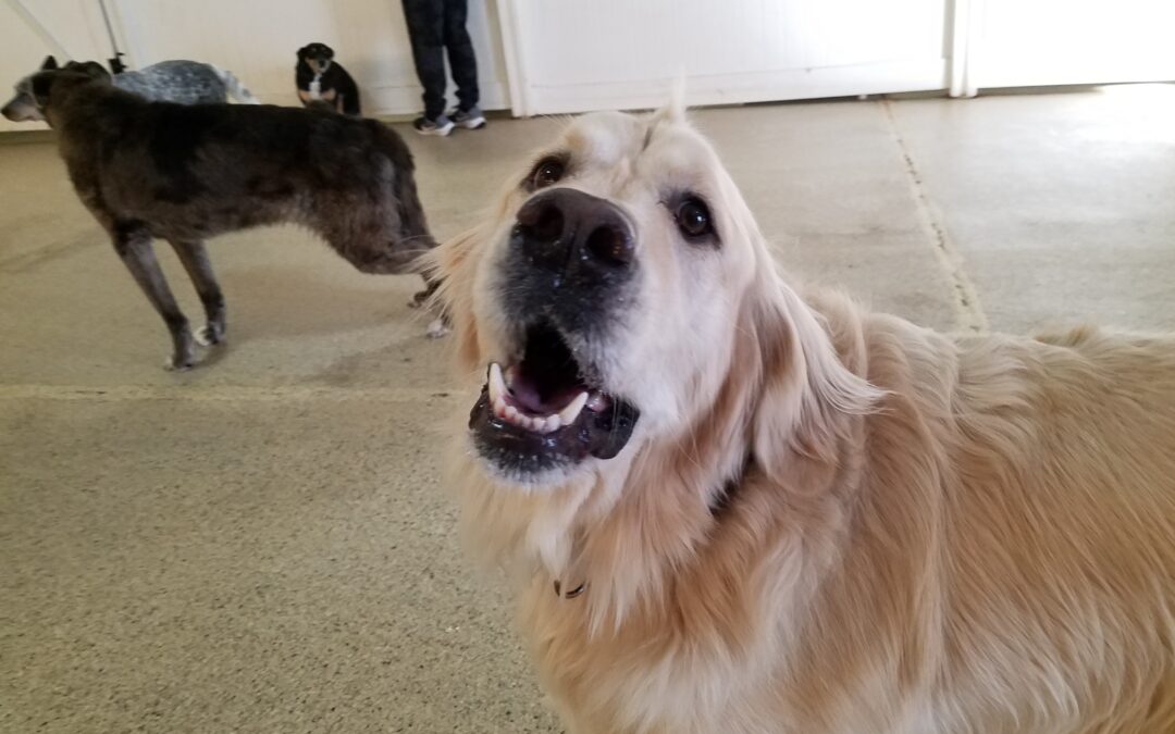 1/19/2026 Playtime! :)