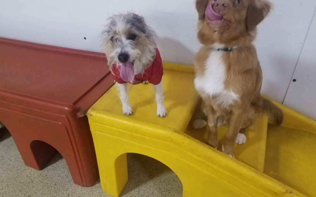 1/20/26 Playtime! :)