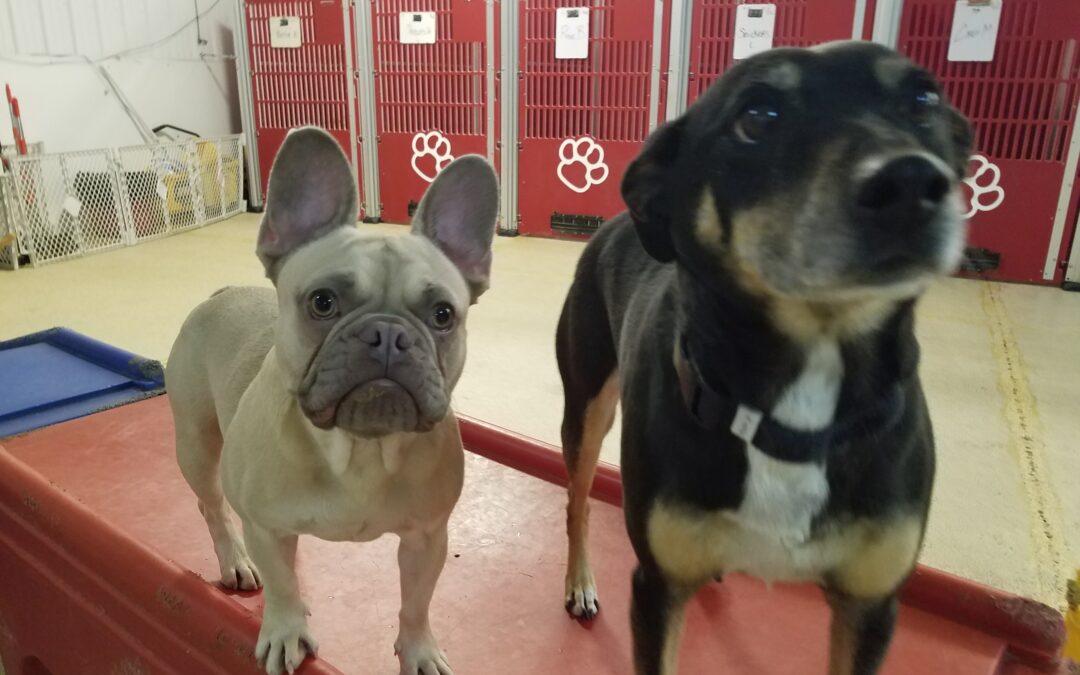 1/21/26 Playtime! :)