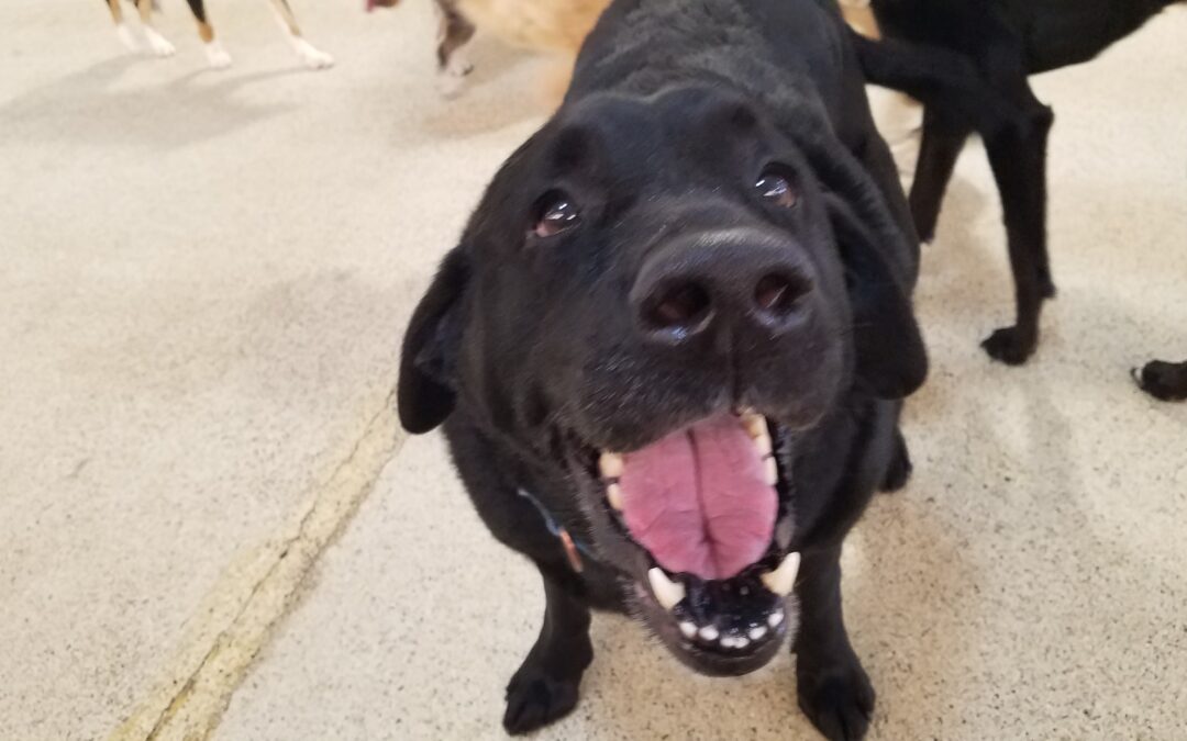 1.22.26 Playtime! :)