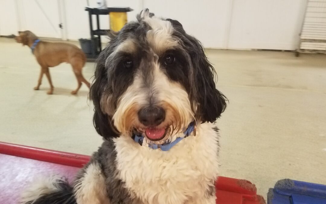 1/23/2026 Playtime! :)