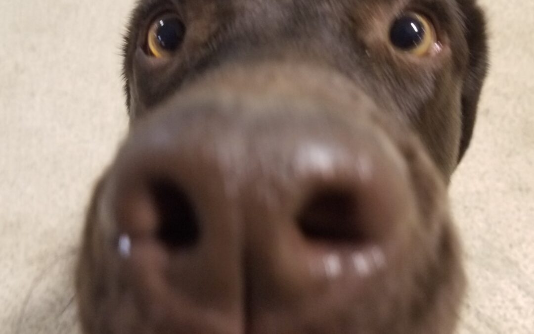 1-24-26 Playtime! :)