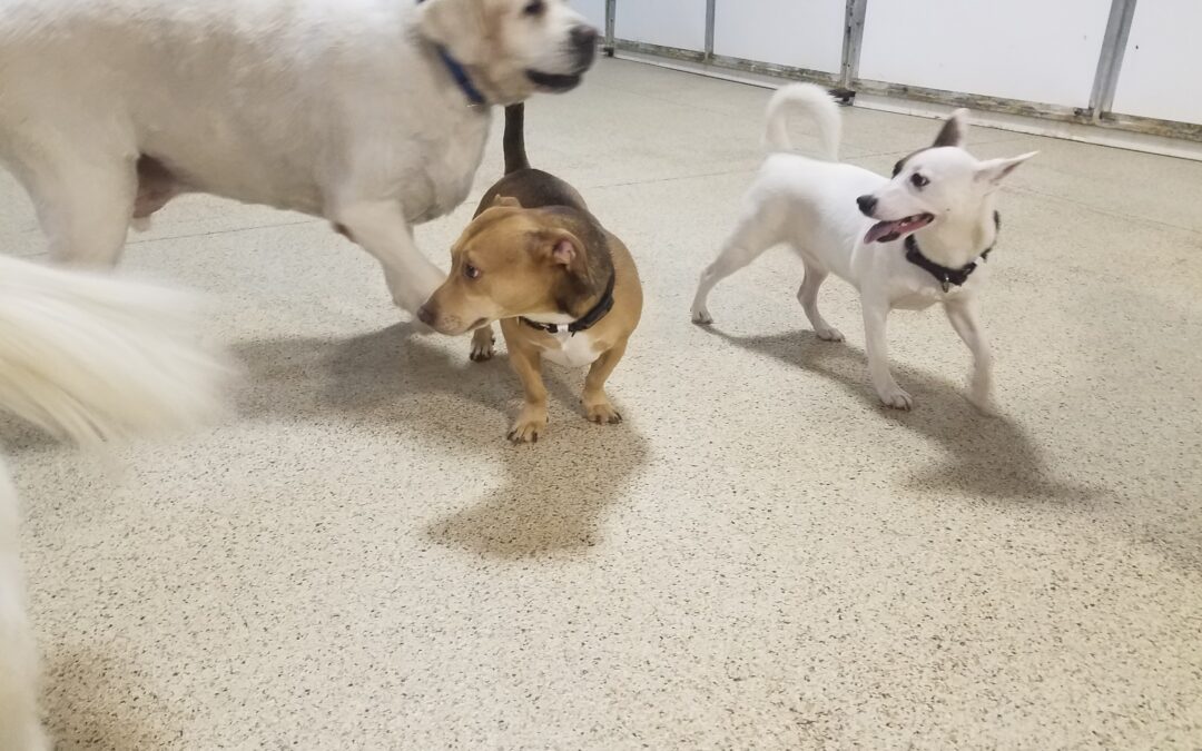 1-25-26 Snow Day Playtime! :)