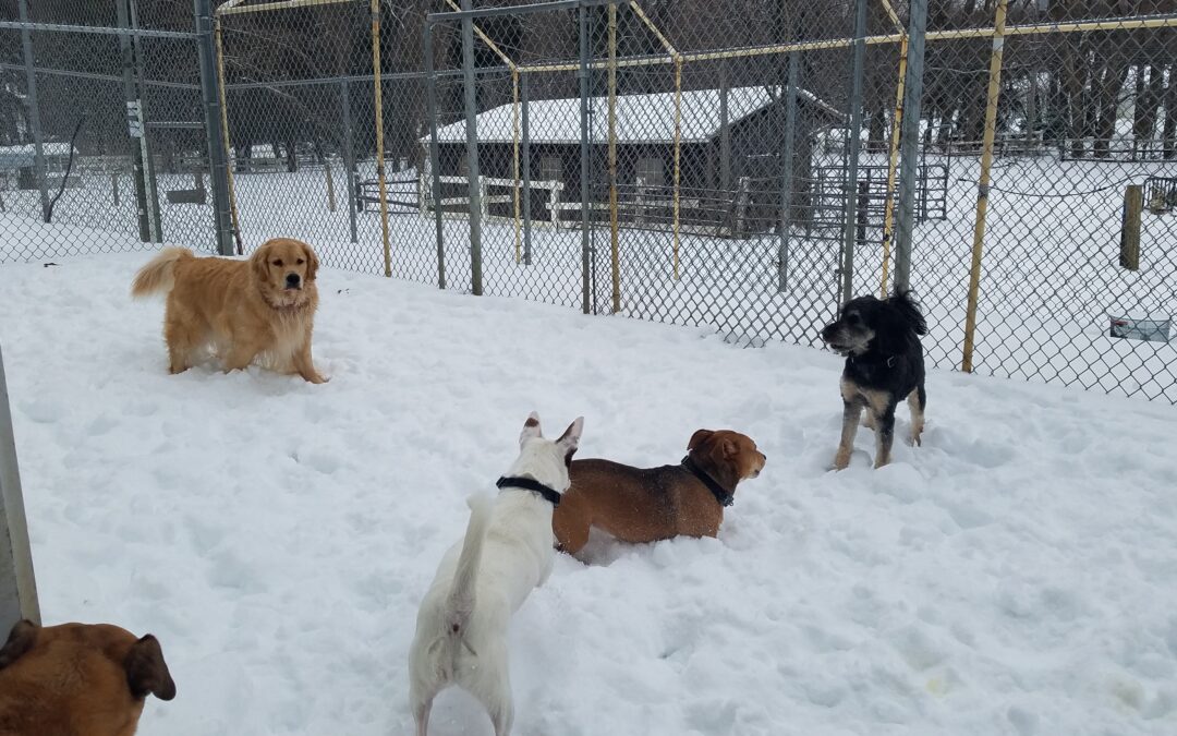 01_26_26 Playtime :-)