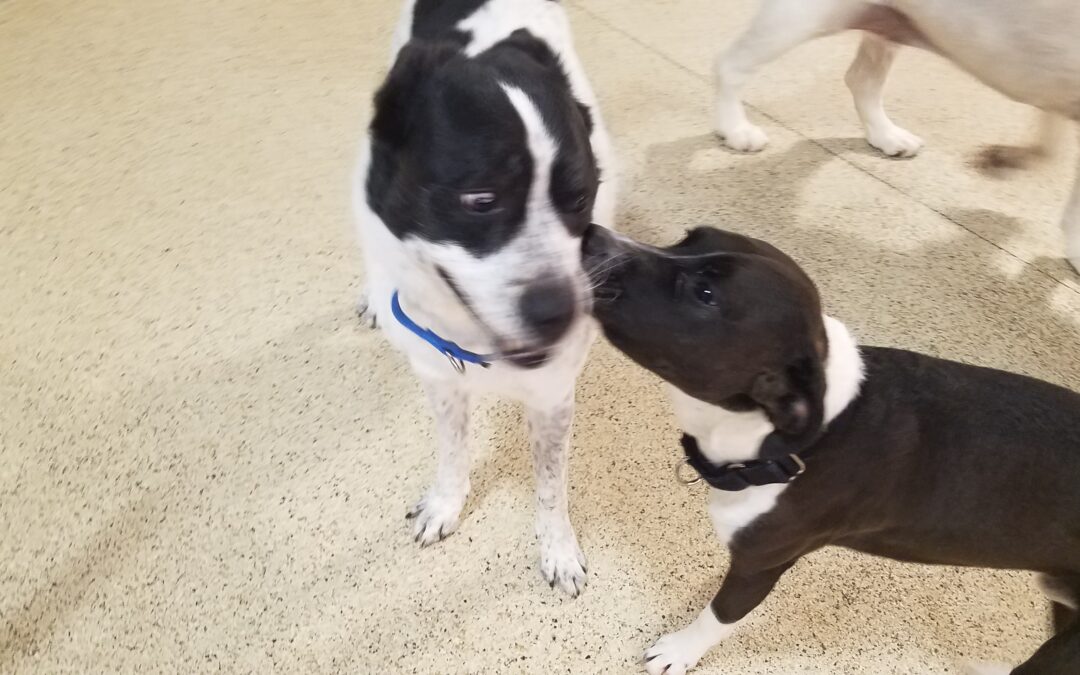 1/27/26 Playtime! :)