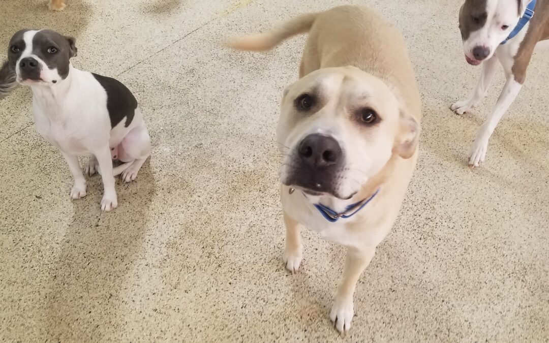 1/29/26 Playtime! :)