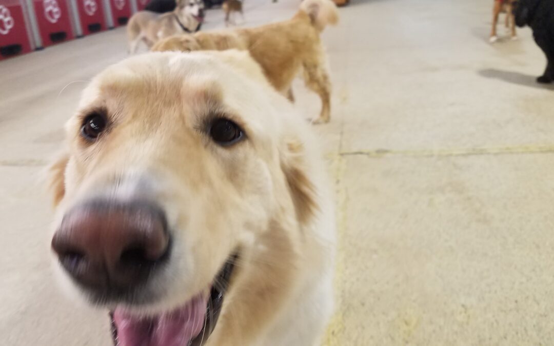 1/30/26 Playtime! :)