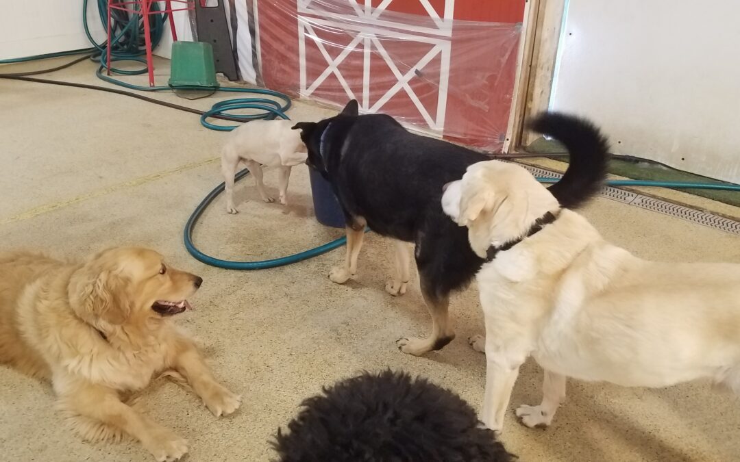 1-31-26 Playtime! :)