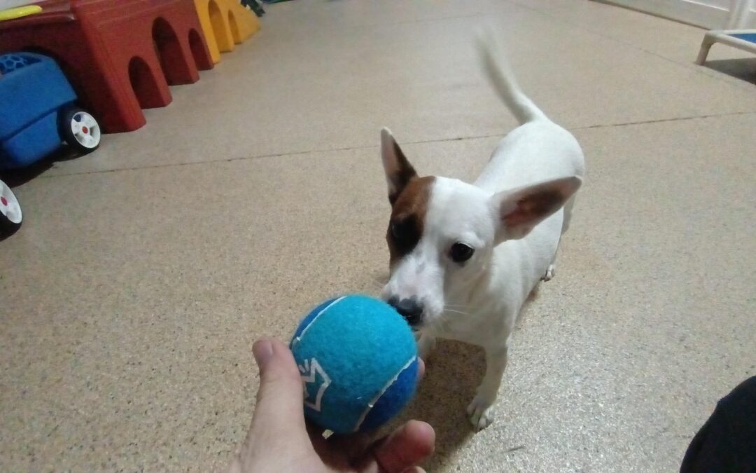 1-25-26 Afternoon Activities + Fun in the Snow! :)