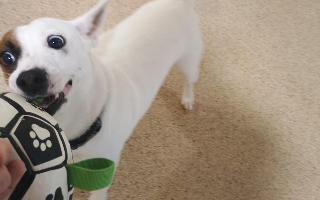 1/27/26 Activities :)