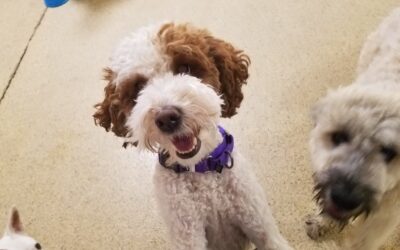 2-5-26 Playtime! :)