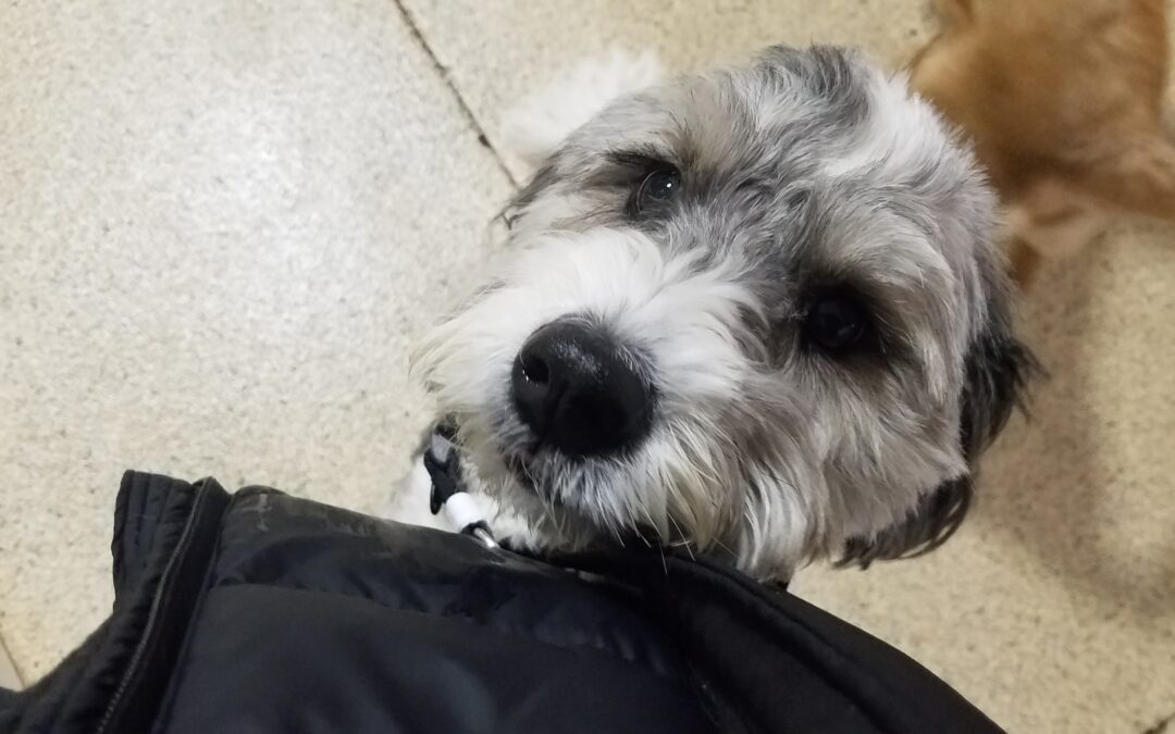 2/10/26 Playtime! :)