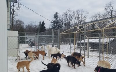 2/11/26 Playtime!