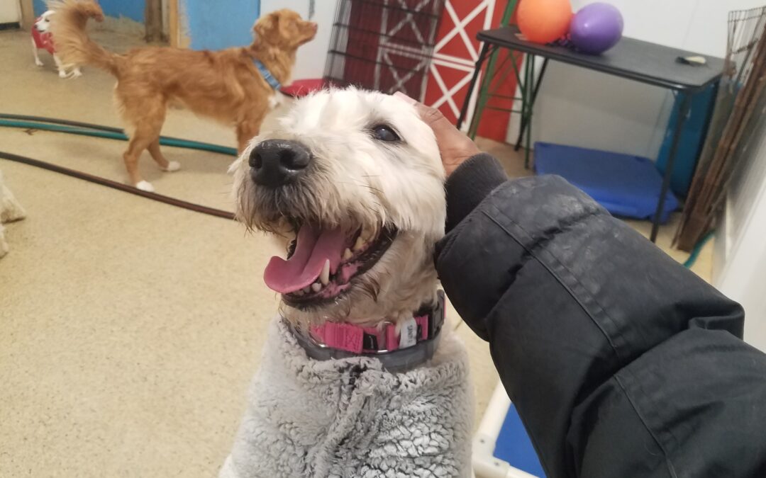 2/13/26 Playtime! :)