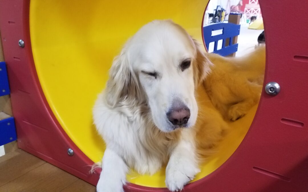 2/14/26 Playtime! :)