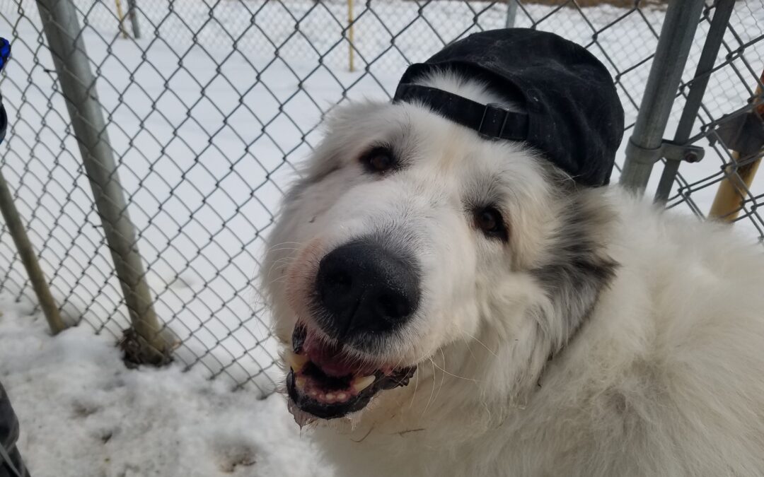 2_15_26 Playtime :-)