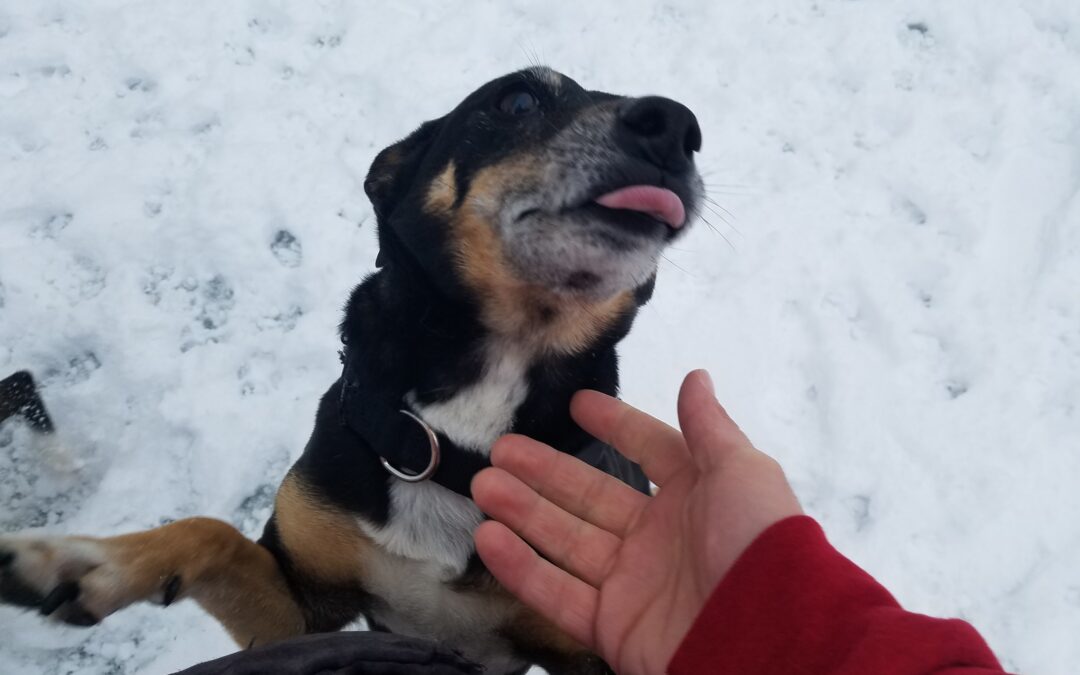 2/16/2026 Playtime! :)