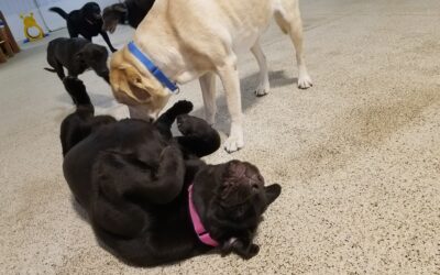 2/17/26 Playtime!