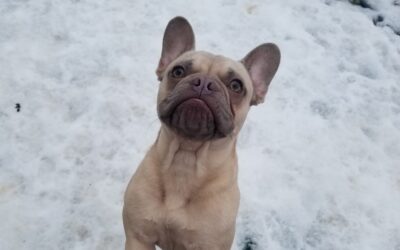 2/18/26 Playtime!