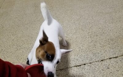 2/19/26 Playtime!