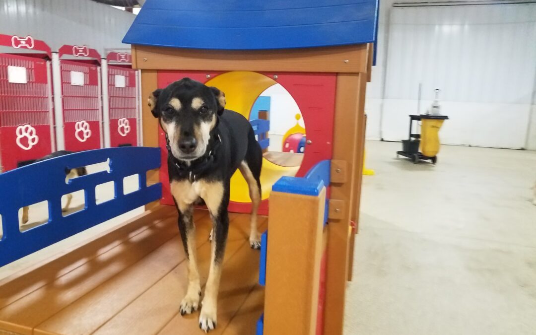 2/20/2026 Playtime! :)