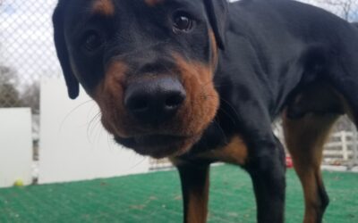 2/21/26 Playtime!