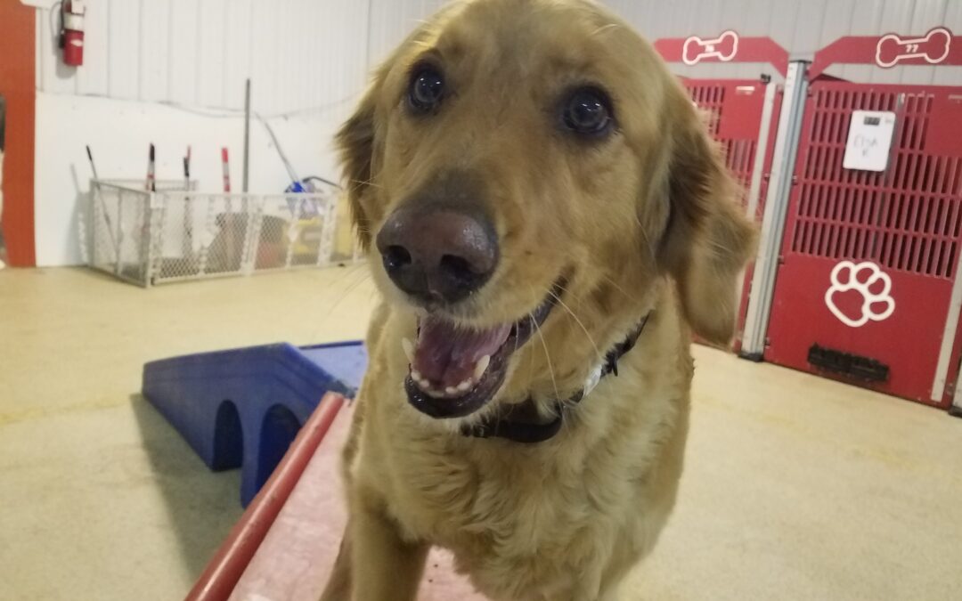 2/25/26 playtime! :)