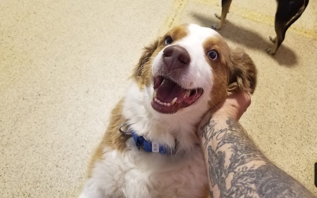 2-26-26 Playtime! :)