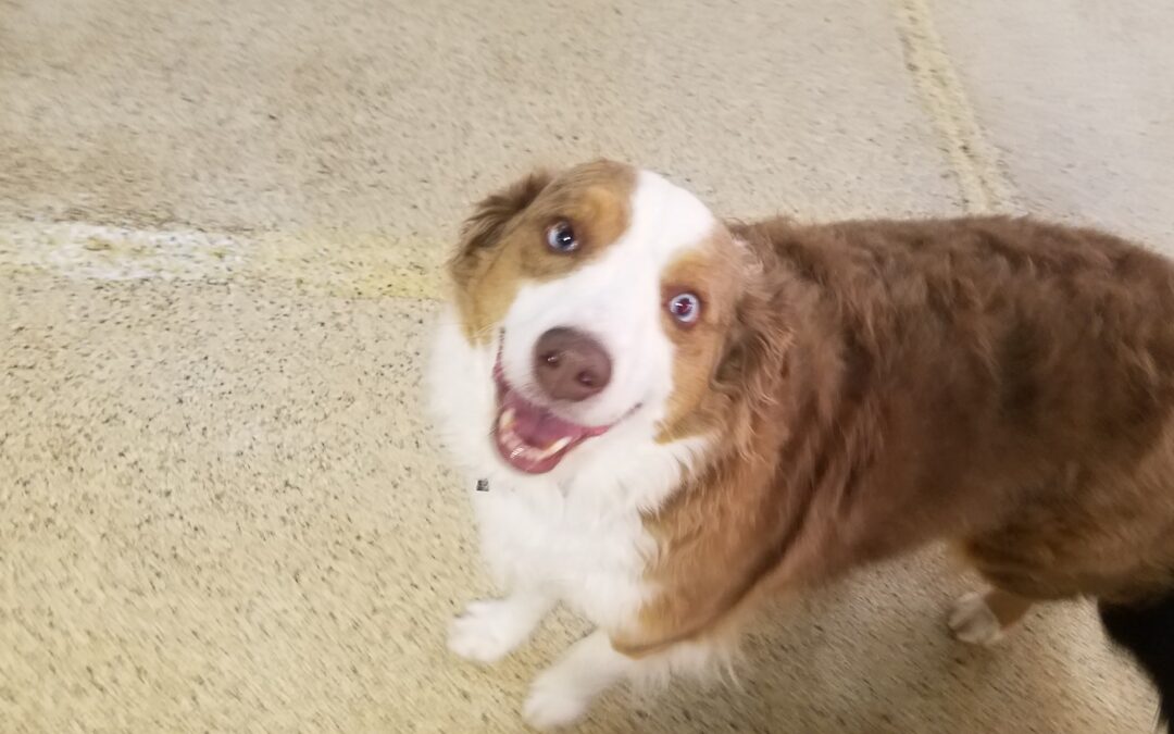 2/27/26 Playtime! :)