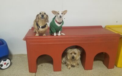 2/28/26 Playtime!
