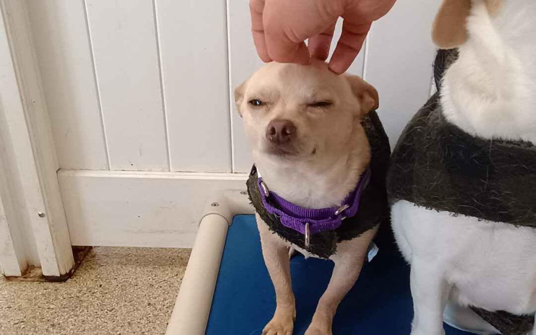 Some Enrichment Activities 2/11/26