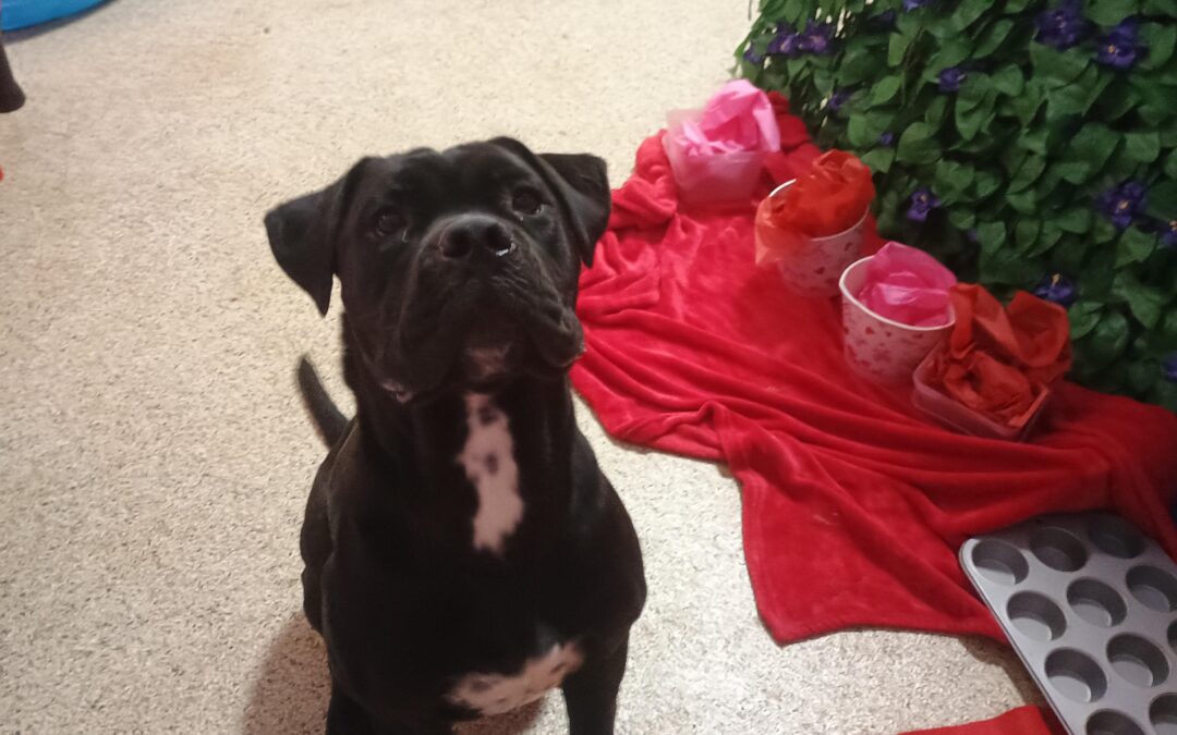 2/13/26 Frisbees, Muffin Tin Treats, Pause Table! :)